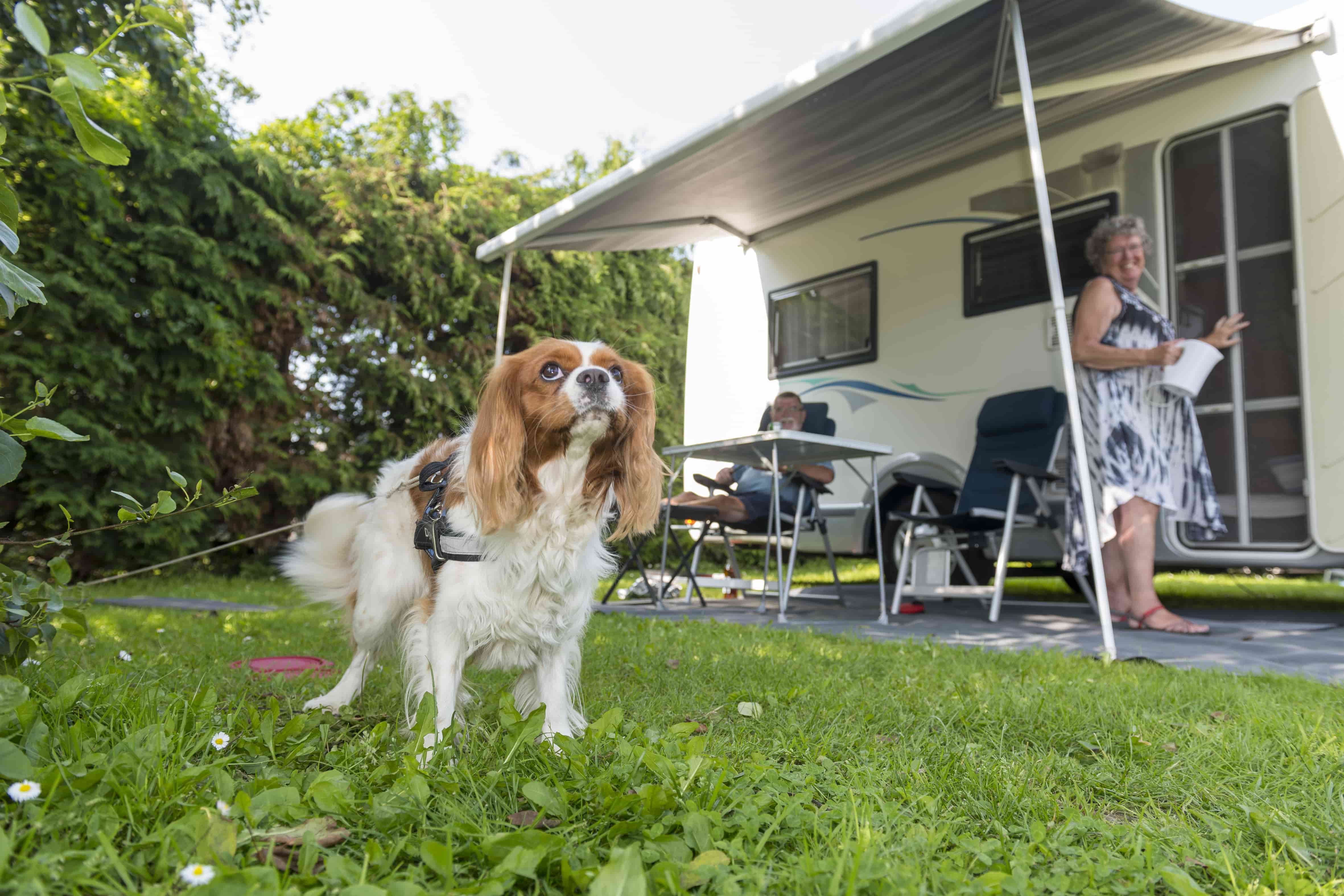 vakantie op beveland